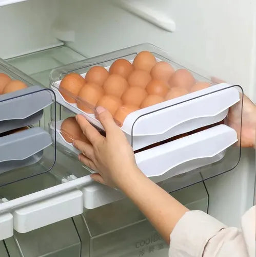 ALMACENAMIENTO PARA HUEVOS – Organización Segura y Frescura